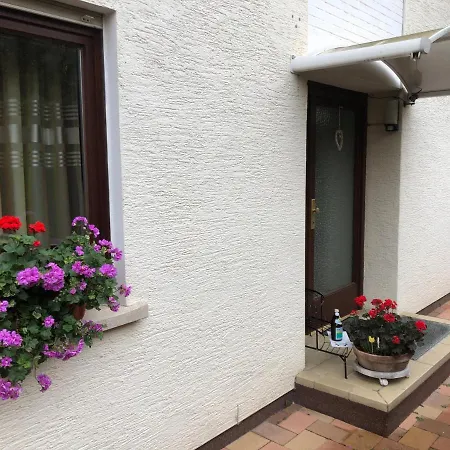 Ze-2020-7-wz Apartment Heidelberg