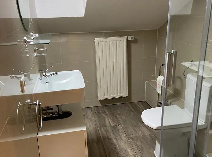 Ze-2020-7-wz 하이델베르크